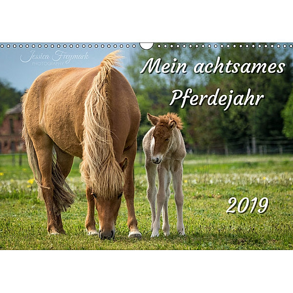 Mein achtsames Pferdejahr 2019 (Wandkalender 2019 DIN A3 quer), Jessica Freymark