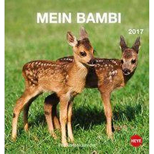 Mein Bambi Postkartenkalender 2017