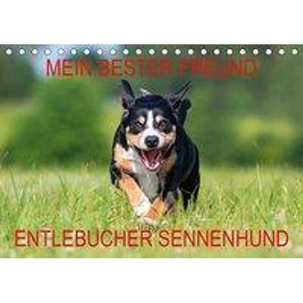 Mein bester Freund - Entlebucher Sennenhund (Tischkalender 2020 DIN A5 quer), N N