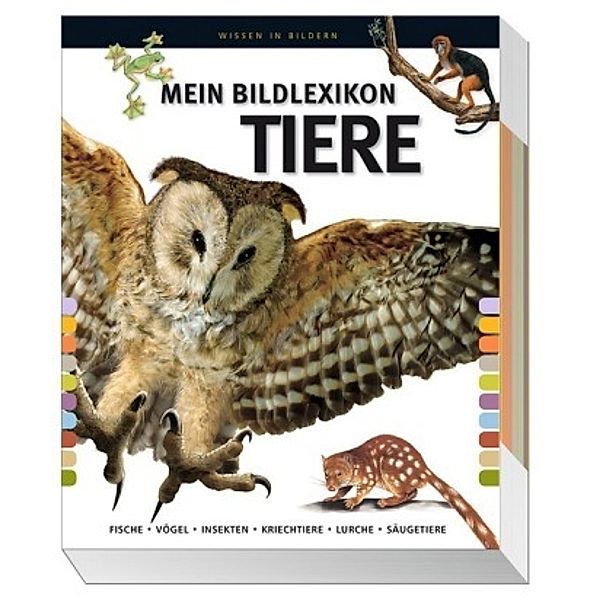 Mein Bildlexikon - Tiere