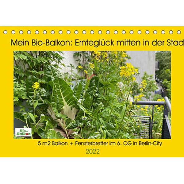 Mein Bio-Balkon: Ernteglück mitten in der Stadt (Tischkalender 2022 DIN A5 quer), Birgit Schattling