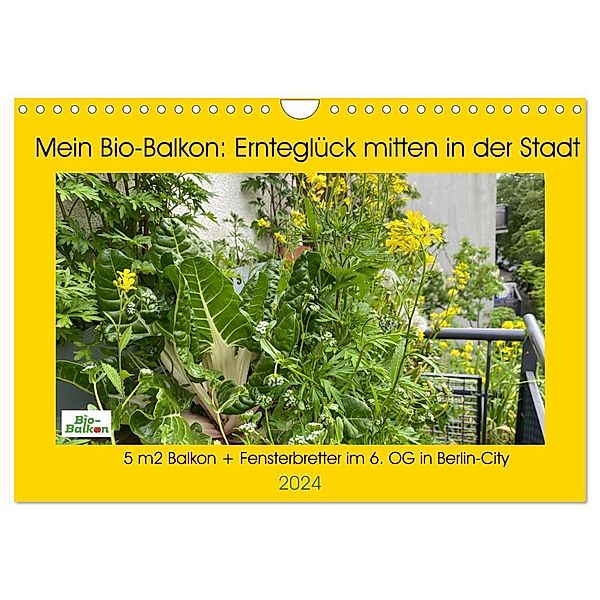 Mein Bio-Balkon: Ernteglück mitten in der Stadt (Wandkalender 2024 DIN A4 quer), CALVENDO Monatskalender, Birgit Schattling