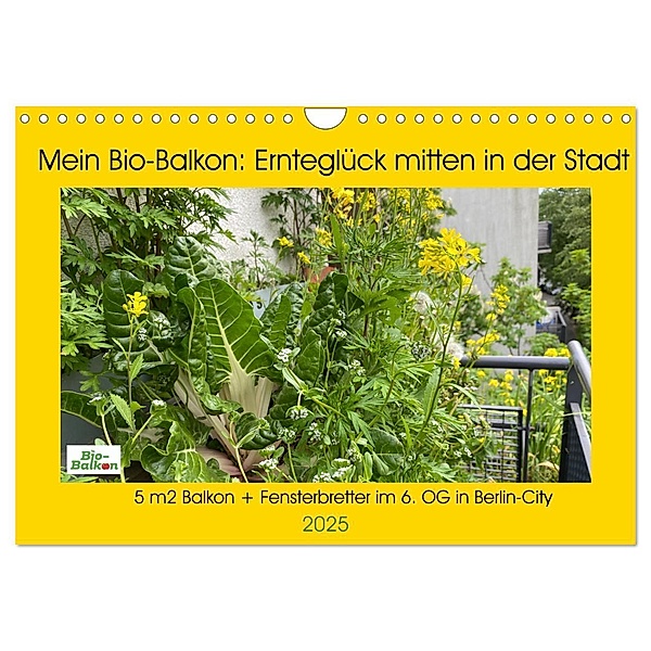 Mein Bio-Balkon: Ernteglück mitten in der Stadt (Wandkalender 2025 DIN A4 quer), CALVENDO Monatskalender, Calvendo, Birgit Schattling