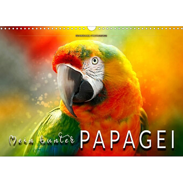 Mein bunter Papagei (Wandkalender 2022 DIN A3 quer), Peter Roder