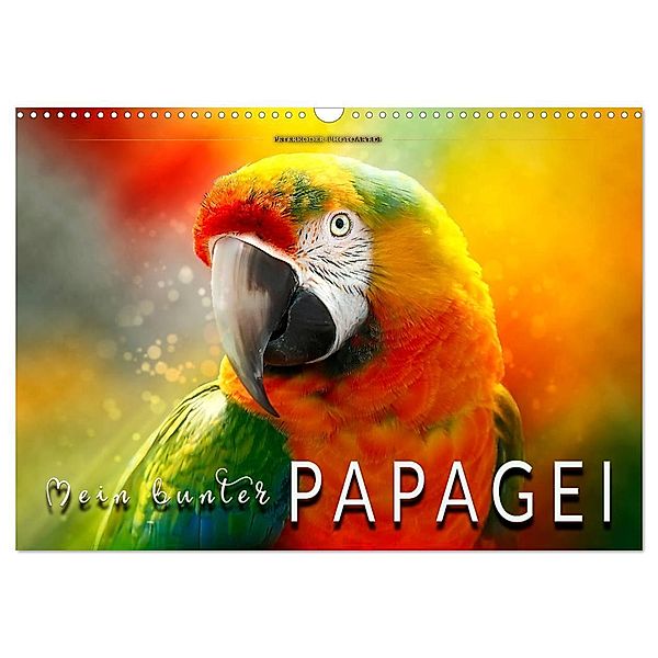 Mein bunter Papagei (Wandkalender 2024 DIN A3 quer), CALVENDO Monatskalender, Peter Roder