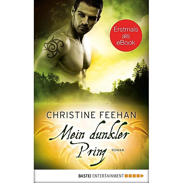 Mein dunkler Prinz / Dark Carpathians Bd.1, Christine Feehan