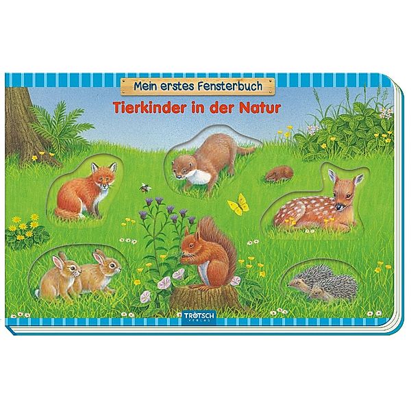 Mein erstes Fensterbuch - Tierkinder in der Natur