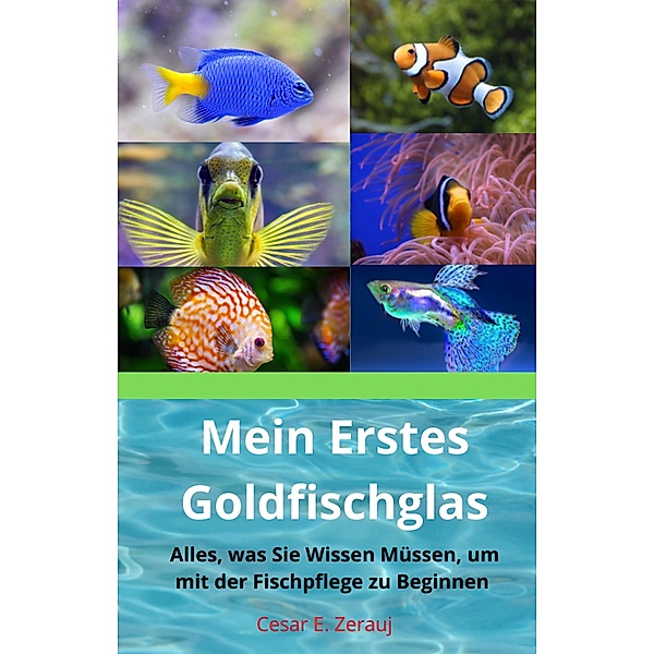Mein Erstes Goldfischglas     Alles, was Sie Wissen Müssen, um mit der Fischpflege zu Beginnen, Gustavo Espinosa Juarez, Cesar E. Zerauj
