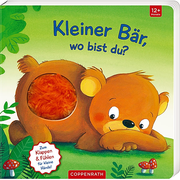 Mein erstes Guckloch-Fühlbuch: Kleiner Bär, wo bist du?