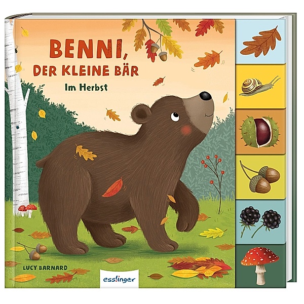 Mein erstes Jahreszeitenbuch: Benni, der kleine Bär, Anja Kiel