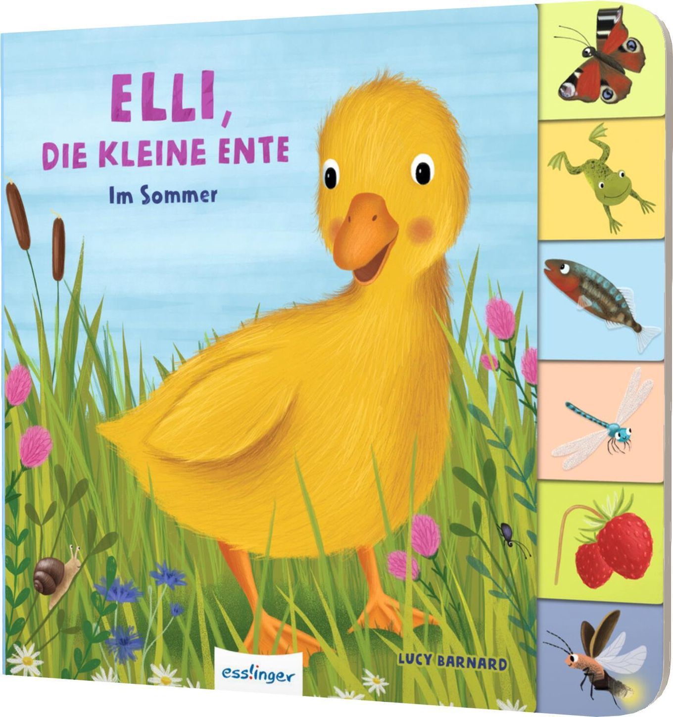 Mein erstes Jahreszeitenbuch: Elli, die kleine Ente | Weltbild.at