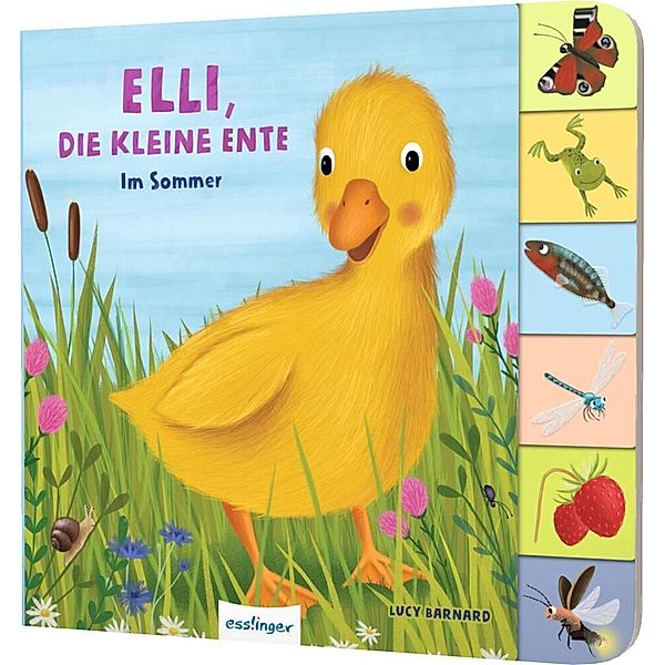 Mein erstes Jahreszeitenbuch: Elli, die kleine Ente, Anja Kiel