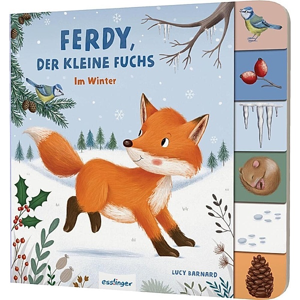Mein erstes Jahreszeitenbuch: Ferdy, der kleine Fuchs, Anja Kiel