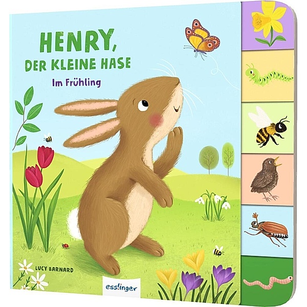 Mein erstes Jahreszeitenbuch: Henry, der kleine Hase, Anja Kiel