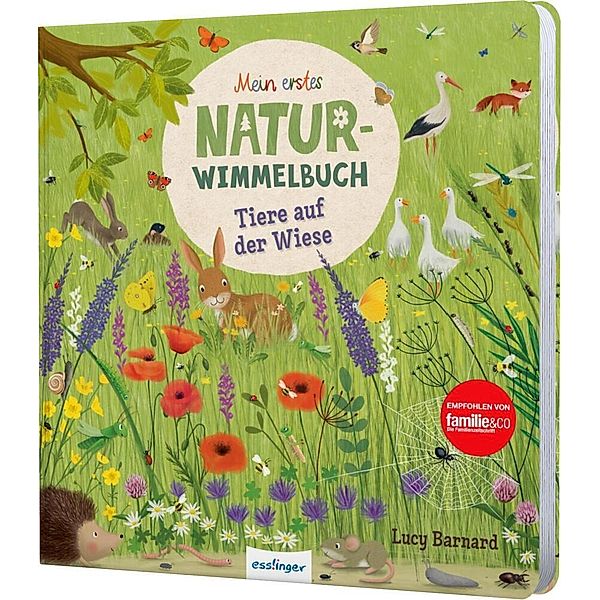 Mein erstes Natur-Wimmelbuch: Tiere auf der Wiese, Katharina Lotz