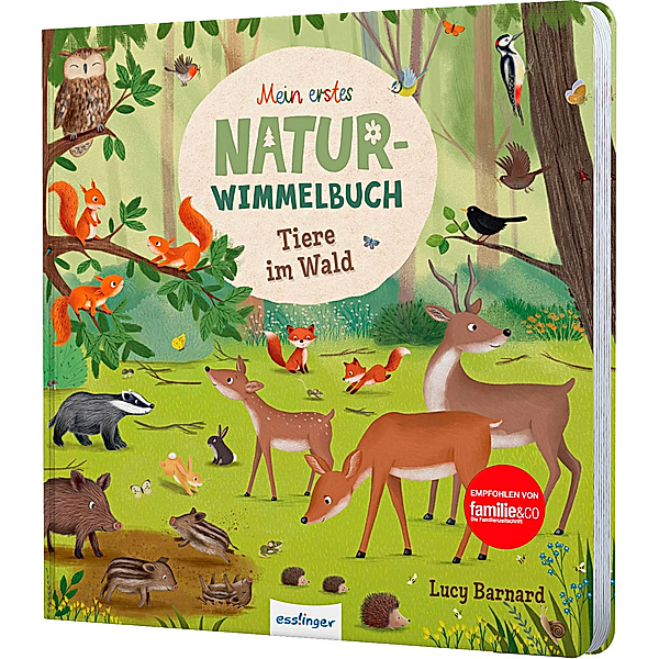 Mein erstes Natur-Wimmelbuch: Tiere im Wald, Sibylle Schumann