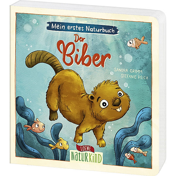 Mein erstes Naturbuch - Der Biber, Sandra Grimm