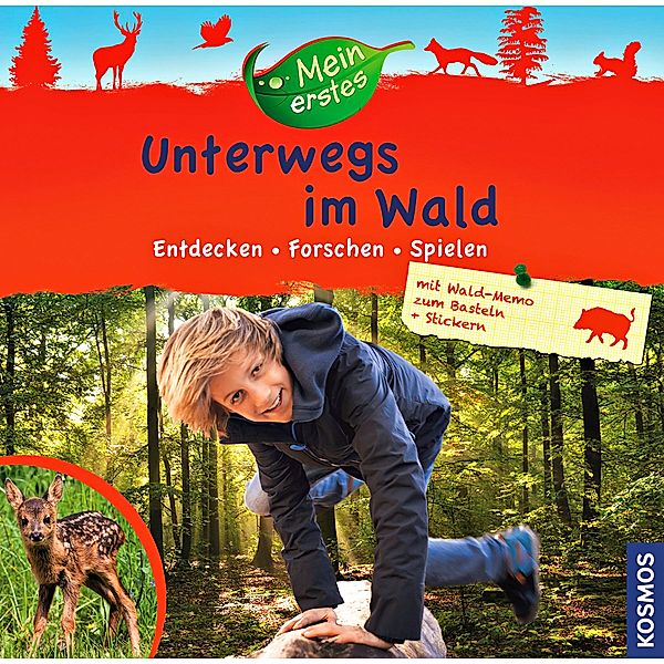 Mein erstes Unterwegs im Wald, Ilka Sokolowski