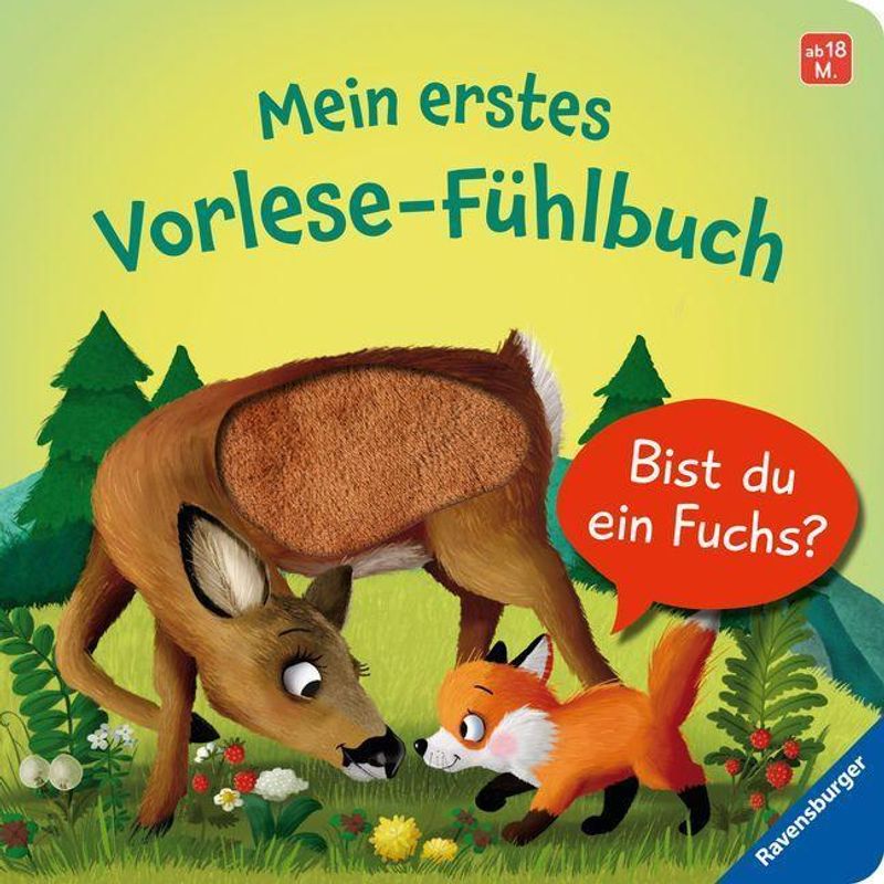 Mein erstes Vorlese-Fühlbuch: Bist du ein Fuchs? Buch versandkostenfrei