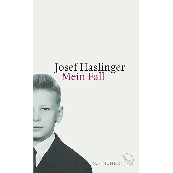 Mein Fall, Josef Haslinger