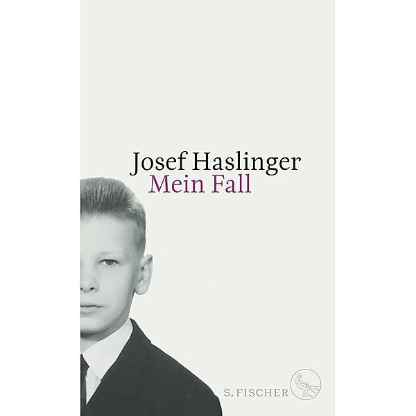 Mein Fall, Josef Haslinger