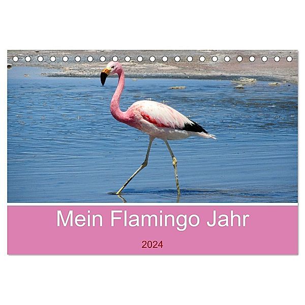 Mein Flamingo Jahr (Tischkalender 2024 DIN A5 quer), CALVENDO Monatskalender, Piera Marlena Büchler