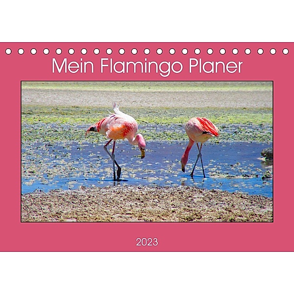Mein Flamingo Planer (Tischkalender 2023 DIN A5 quer), Piera Marlena Büchler
