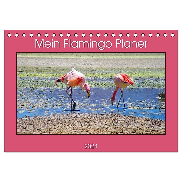 Mein Flamingo Planer (Tischkalender 2024 DIN A5 quer), CALVENDO Monatskalender, Piera Marlena Büchler