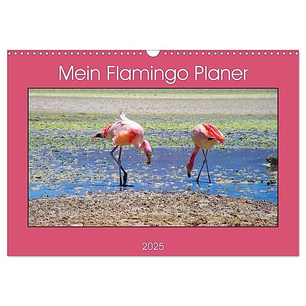 Mein Flamingo Planer (Wandkalender 2025 DIN A3 quer), CALVENDO Monatskalender, Calvendo, Piera Marlena Büchler