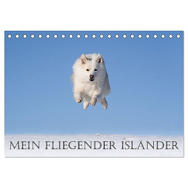 Mein fliegender Isländer (Tischkalender 2025 DIN A5 quer), CALVENDO Monatskalender, Calvendo, Monika Scheurer