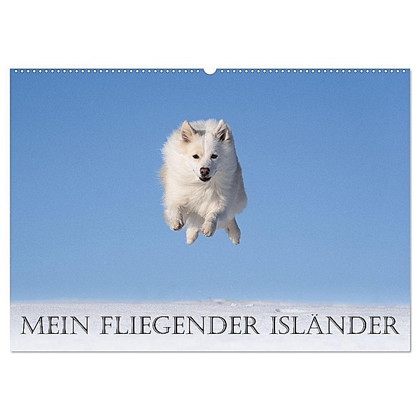 Mein fliegender Isländer (Wandkalender 2024 DIN A2 quer), CALVENDO Monatskalender, Monika Scheurer