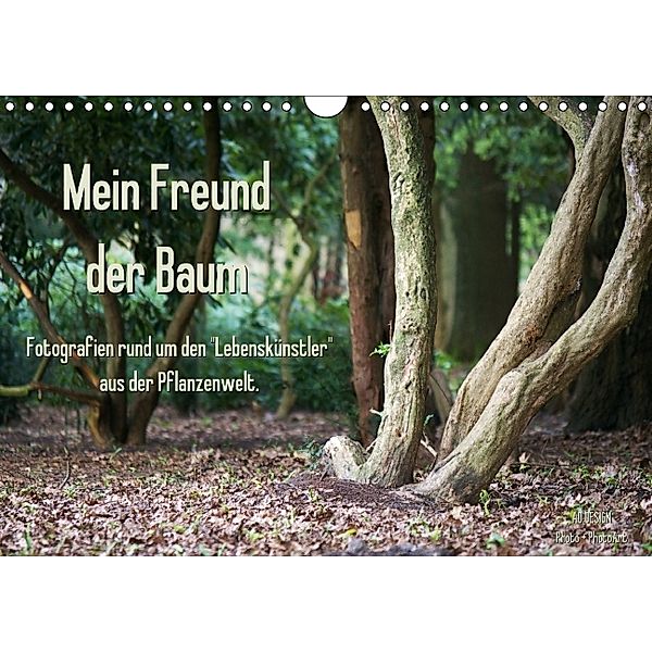 Mein Freund der Baum (Wandkalender 2014 DIN A4 quer), Angela Dölling