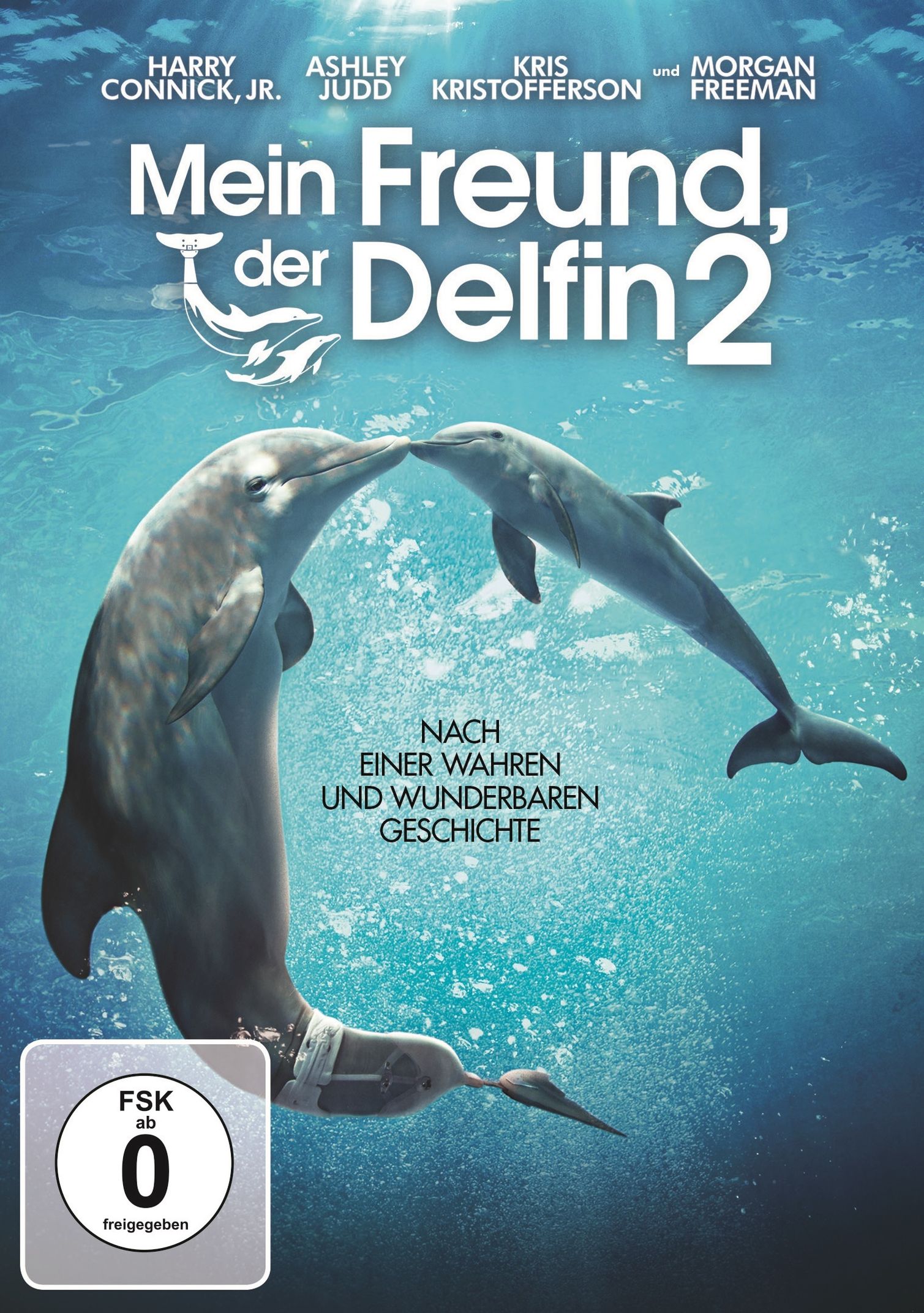 Mein Freund der Delfin 2 DVD bei Weltbild.ch bestellen