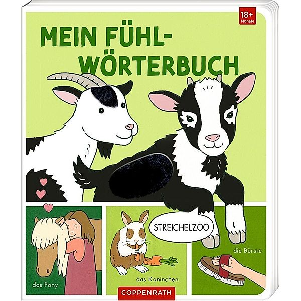 Mein Fühl-Wörterbuch