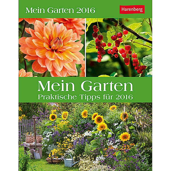 Mein Garten 2016, Ulrich Thimm