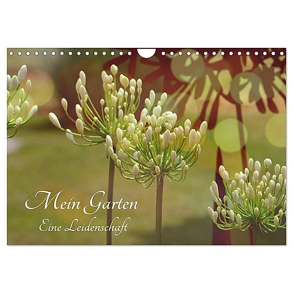 Mein Garten Eine Leidenschaft (Wandkalender 2024 DIN A4 quer), CALVENDO Monatskalender, Renate Grobelny