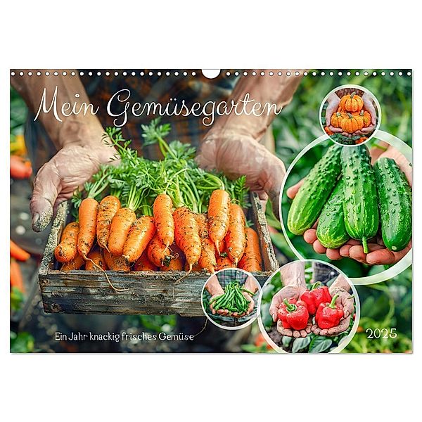 Mein Gemüsegarten - Ein Jahr knackig frisches Gemüse (Wandkalender 2025 DIN A3 quer), CALVENDO Monatskalender, Calvendo, Anja Frost