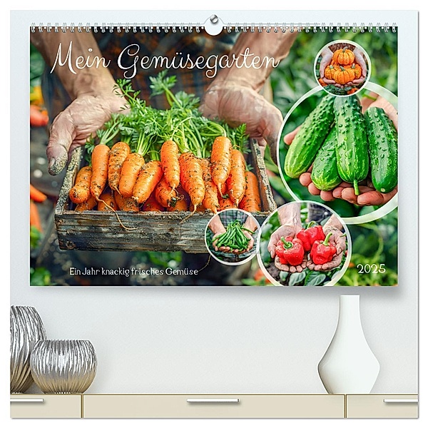 Mein Gemüsegarten - Ein Jahr knackig frisches Gemüse (hochwertiger Premium Wandkalender 2025 DIN A2 quer), Kunstdruck in Hochglanz, Calvendo, Anja Frost