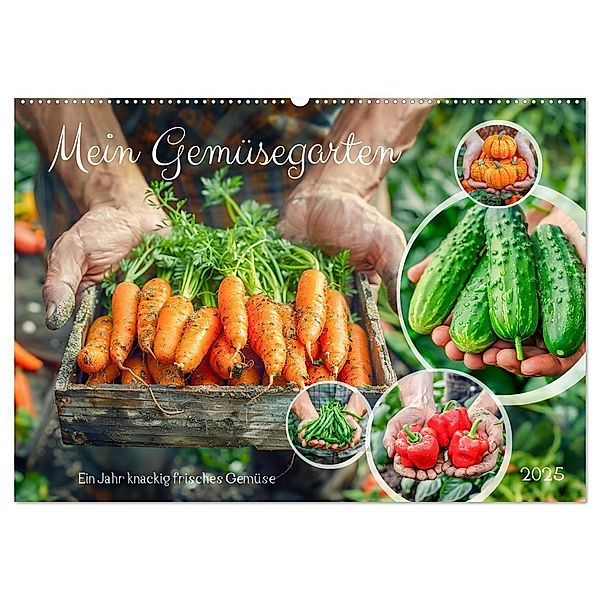 Mein Gemüsegarten - Ein Jahr knackig frisches Gemüse (Wandkalender 2025 DIN A2 quer), CALVENDO Monatskalender, Calvendo, Anja Frost