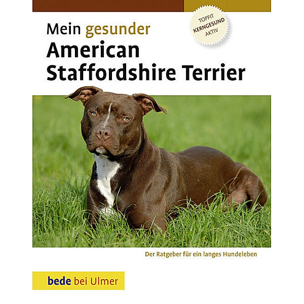 Mein gesunder American Staffordshire Terrier, Robert Williams