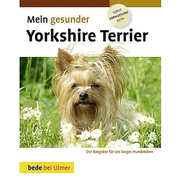 Mein gesunder Yorkshire Terrier, Lowell Ackerman
