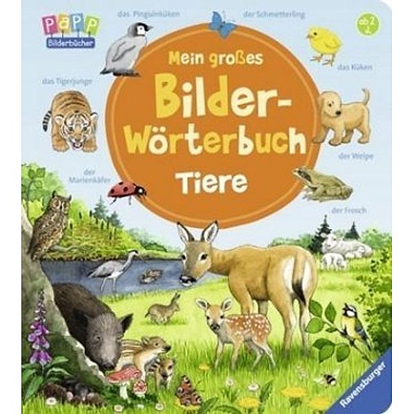 Mein großes Bilder-Wörterbuch: Tiere, Susanne Gernhäuser, Anne Ebert