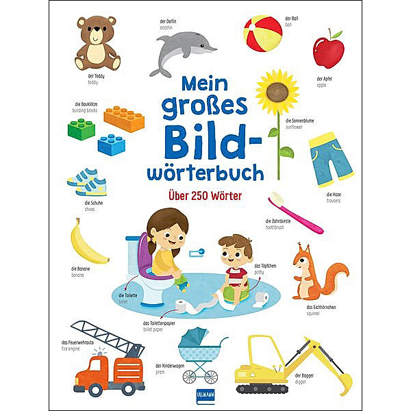 Mein grosses Bildwörterbuch