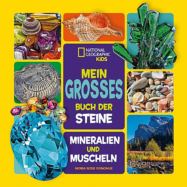 Mein grosses Buch der Steine, Mineralien und Muscheln, Moira Rose Donohue