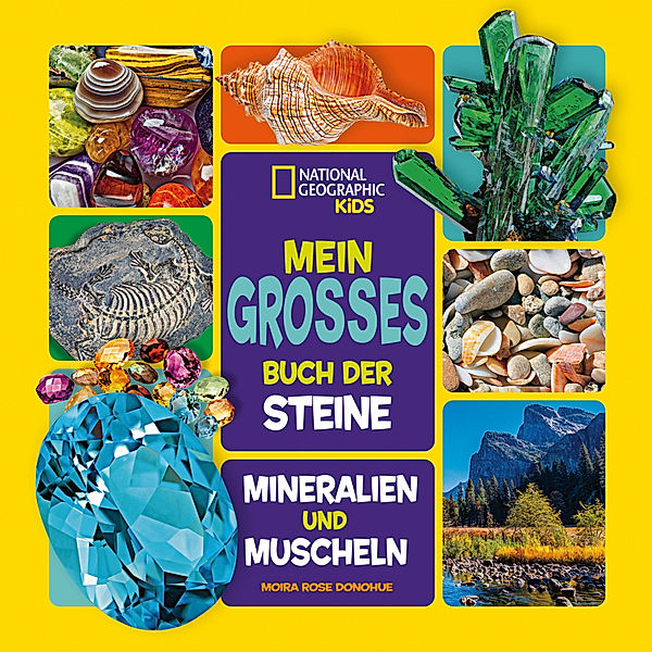 Mein großes Buch der Steine, Mineralien und Muscheln, Moira Rose Donohue