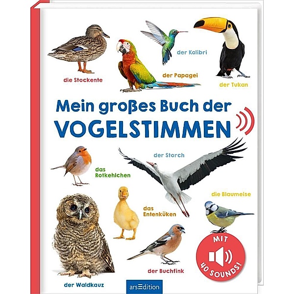 Mein grosses Buch der Vogelstimmen