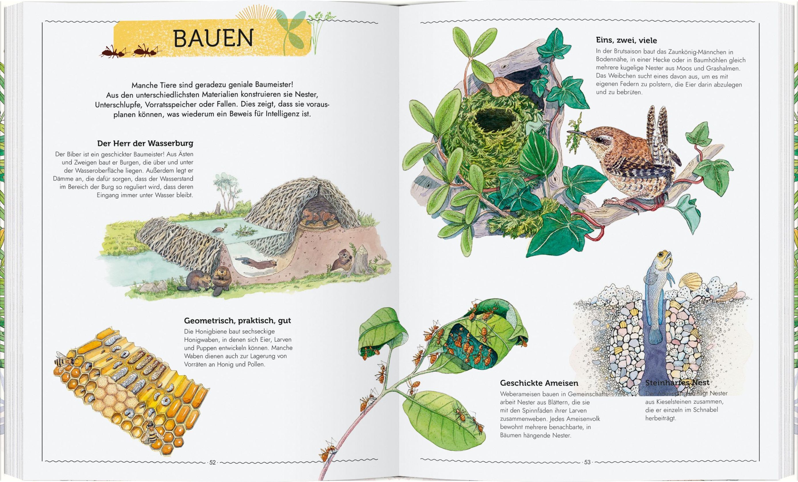 Mein großes Buch vom Leben der Tiere Buch versandkostenfrei - Weltbild.de