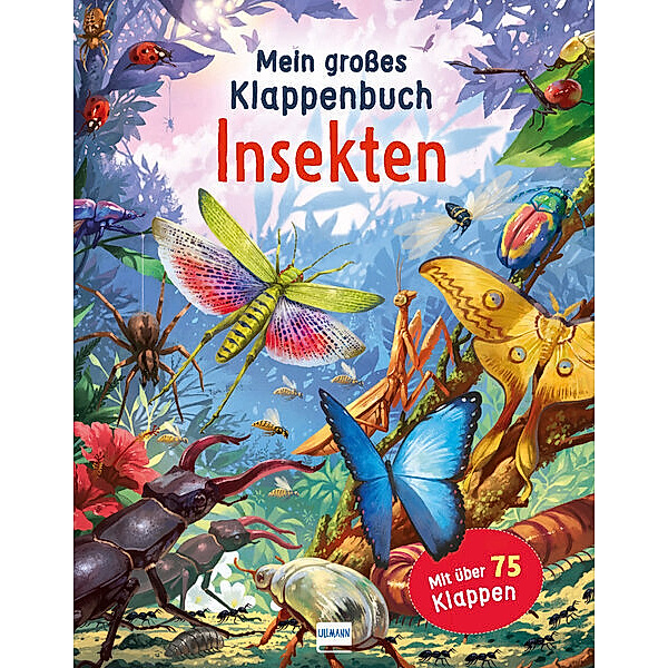 Mein großes Klappenbuch - Insekten, Rod Green
