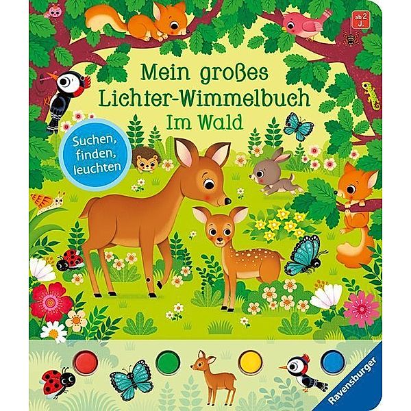 Mein großes Lichter-Wimmelbuch: Im Wald, Sandra Grimm