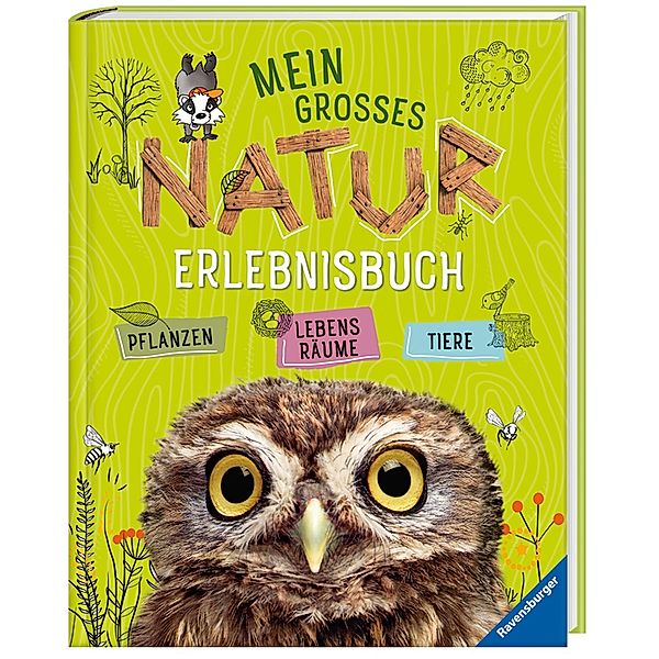 Mein grosses Natur-Erlebnisbuch, Angelika Lenz